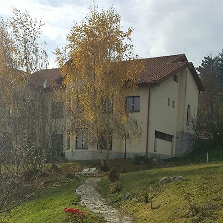 Trovanti Apartment Feleacu 외부 사진