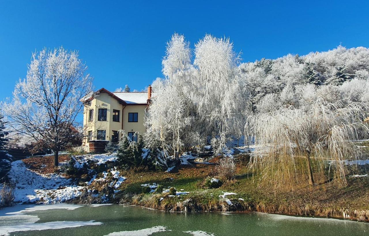Trovanti Apartment Feleacu 외부 사진