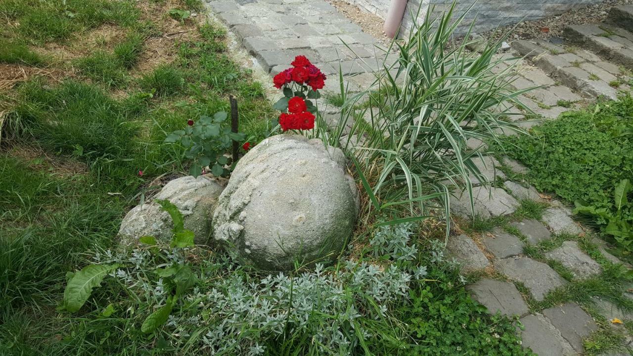 Trovanti Apartment Feleacu 외부 사진